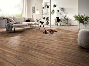 laminati